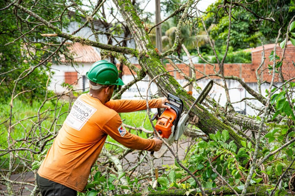 Land Clearing Services Land Clearing Services